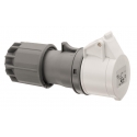 CONECTOR CEE, IP44, 32A, 2 PÓLOS, 42V, 12H, BRANCO